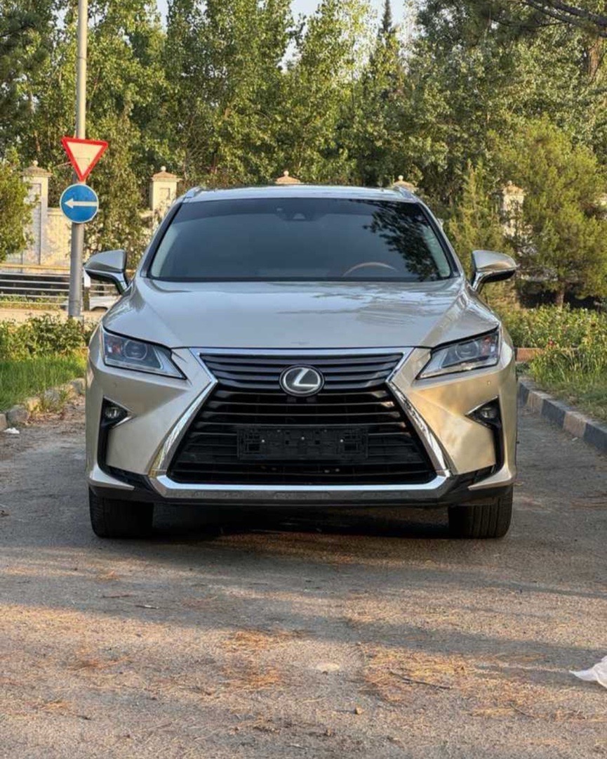 Защитник на Lexus RX, Душанбе