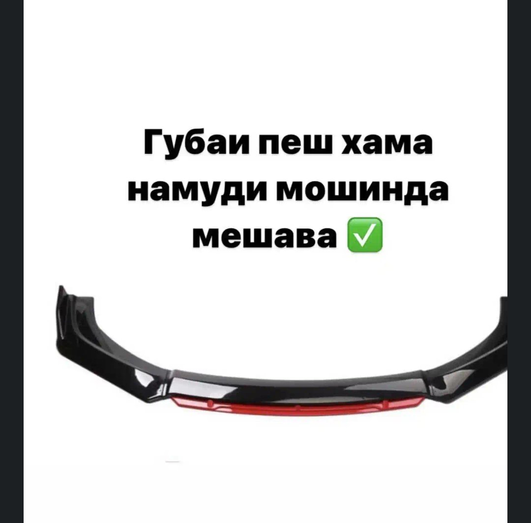 Универсальная губа, Душанбе
