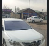 Лобовое стекло фиолетовое — фото 2 из 2