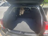 Toyota Fielder 2014 — фото 4 из 9